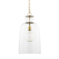 Clear Single Glass Dimmable Ceiling Light With Clear Shades