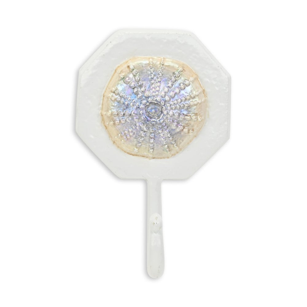 4" Pearl And White Cast Iron Sand Dollar Wall Hook. Coat hanger isolated on a plain white background, showing a white metal surface.