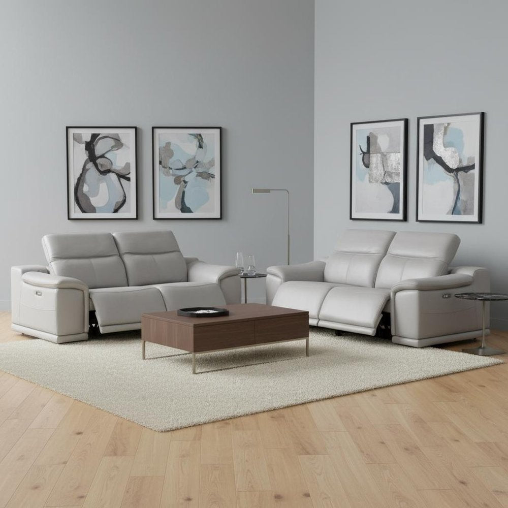 Two Piece Ash Gray Genuine Leather Four Person Seating Set