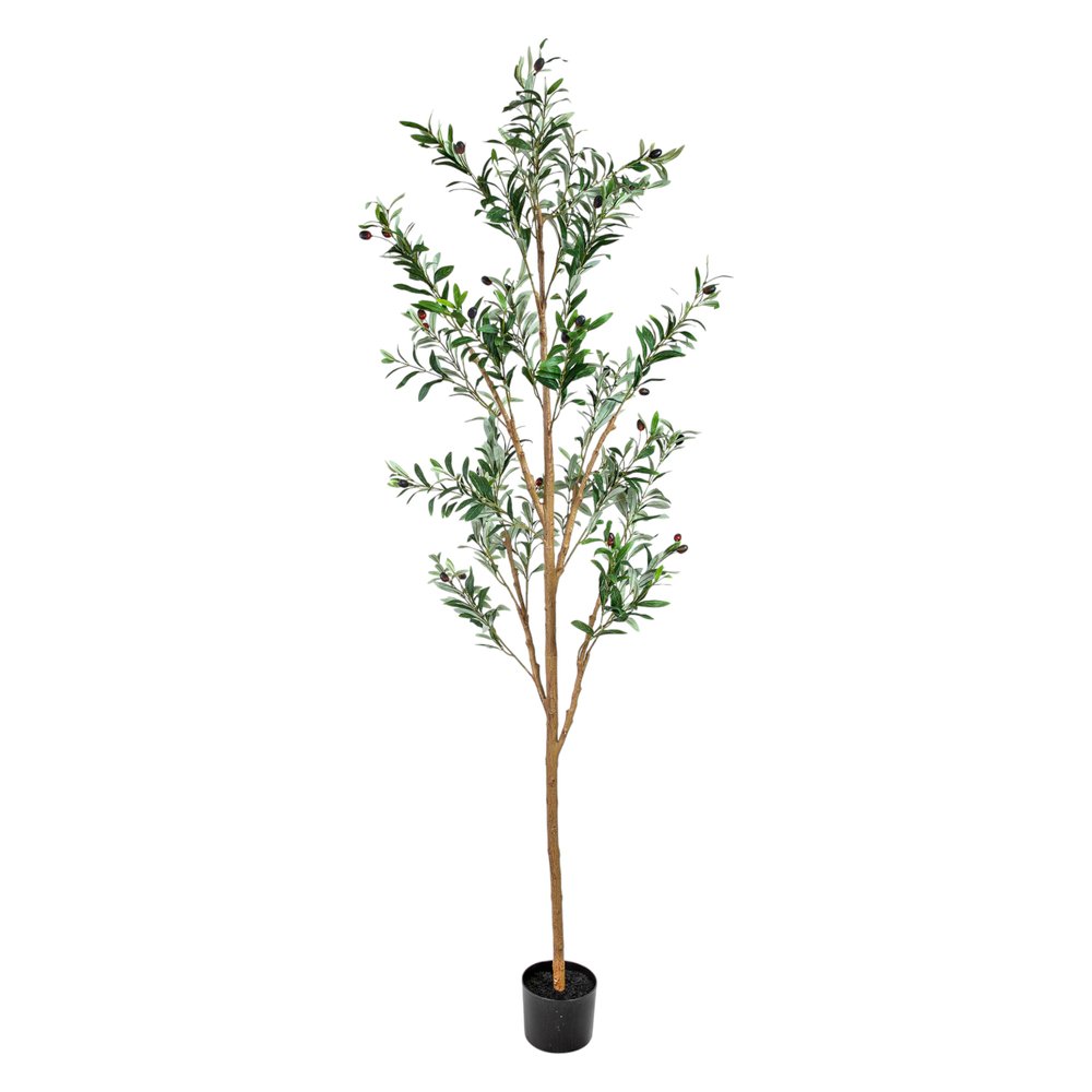 Set of Two 72" Green Artificial Olive Trees in a Black Pots on a white background
