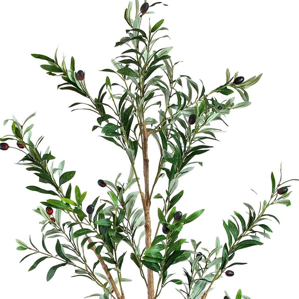 Set of Two 72" Green Artificial Olive Trees in a Black Pots on a white background