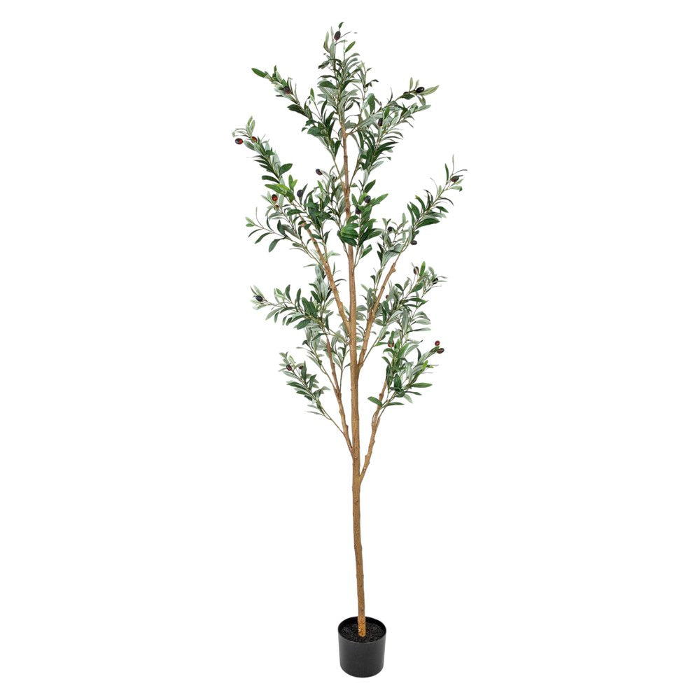 Set Of Two 84" Green Artificial Olive Trees in a Black Pot on a white background