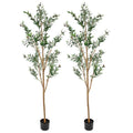 Set Of Two 84" Green Artificial Olive Trees in a Black Pot on a white background