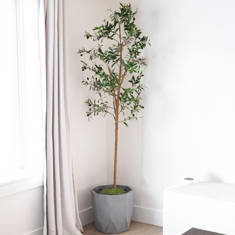 Set Of Two 84" Green Artificial Olive Trees in a Black Pot on a white background