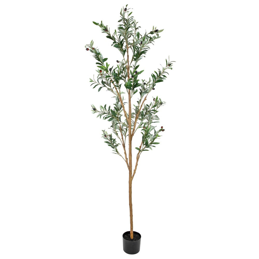 84" Green Olive Artificial Tree in a Black Pot on a white background