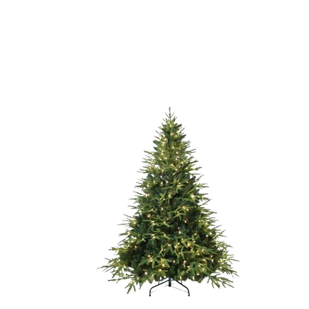 A full, pre-lit pine Christmas tree with warm white lights on a black stand against a white background.