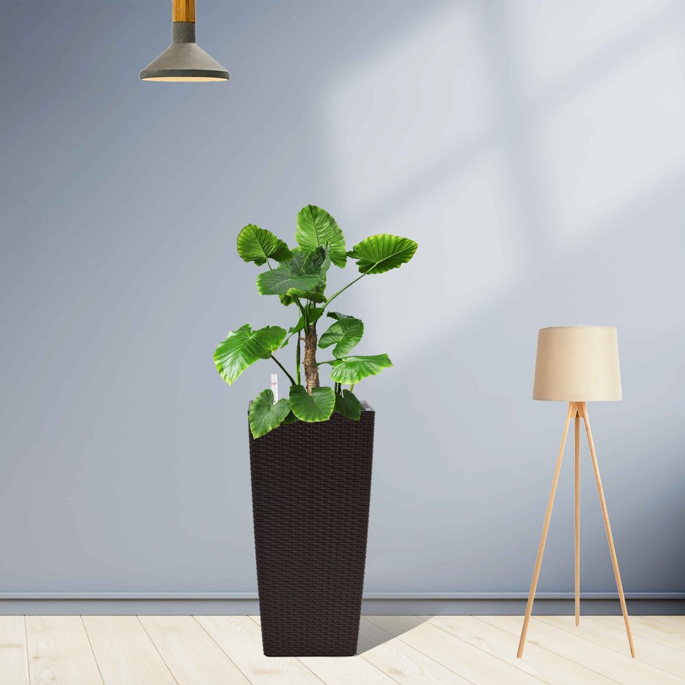Tall brown woven planter with a large green plant and a tripod floor lamp in a room with a gray wall and wooden floor.