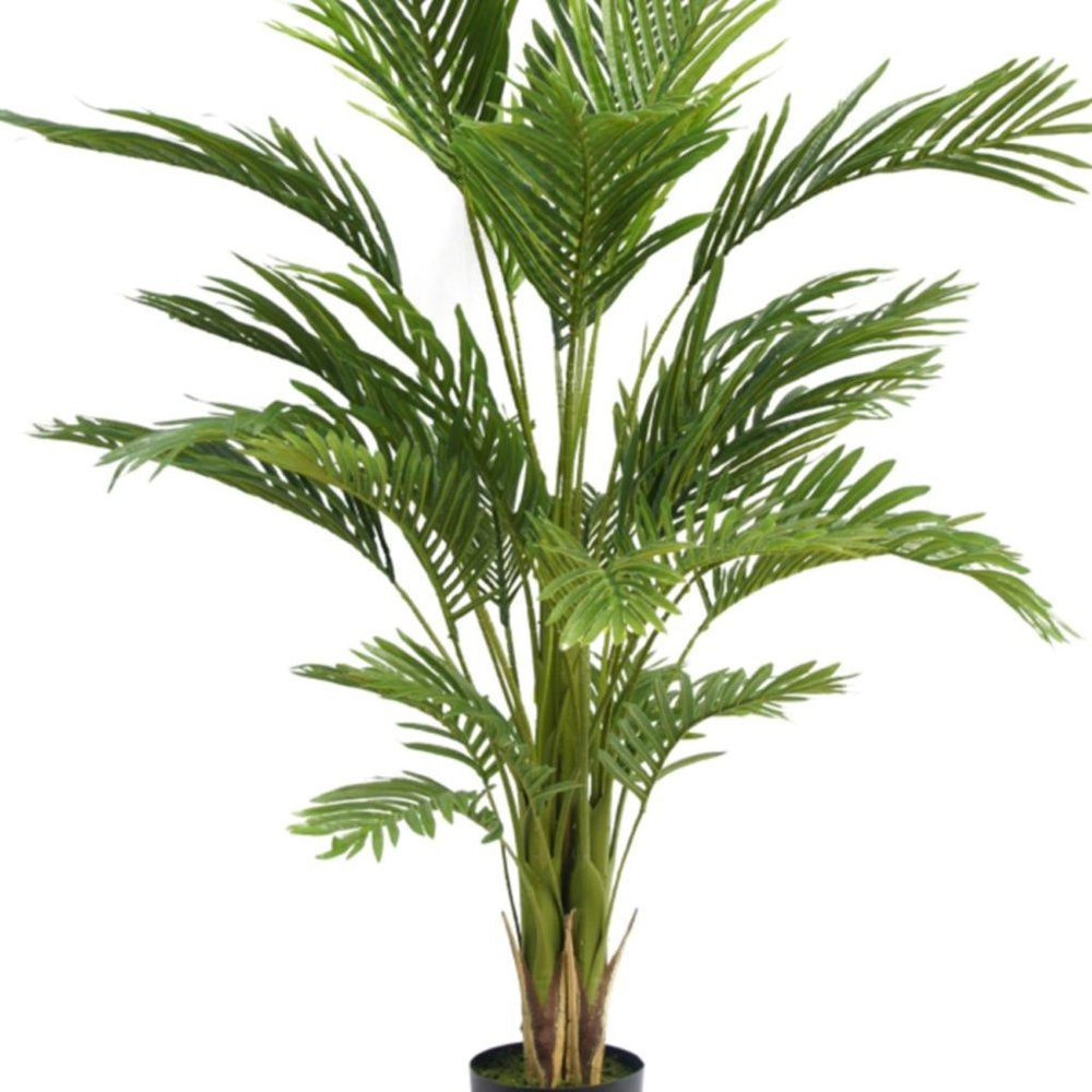 71" Green Artificial Palm Tree In Cylindrical Black Pot on a white background