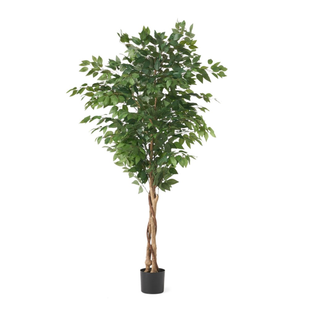 A tall, artificial green ficus tree with a braided trunk in a cylindrical black pot against a white background.