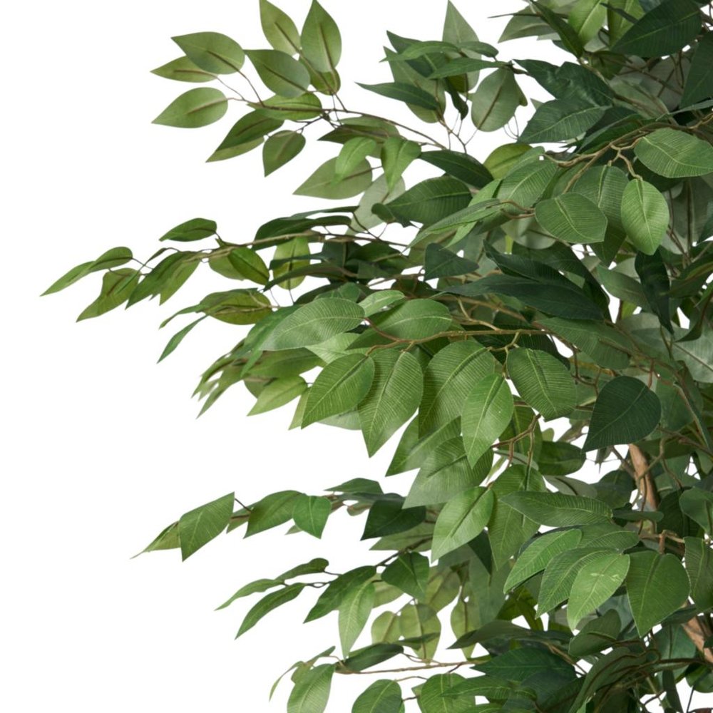 71" Green Artificial Ficus Tree In Cylindrical Black Pot