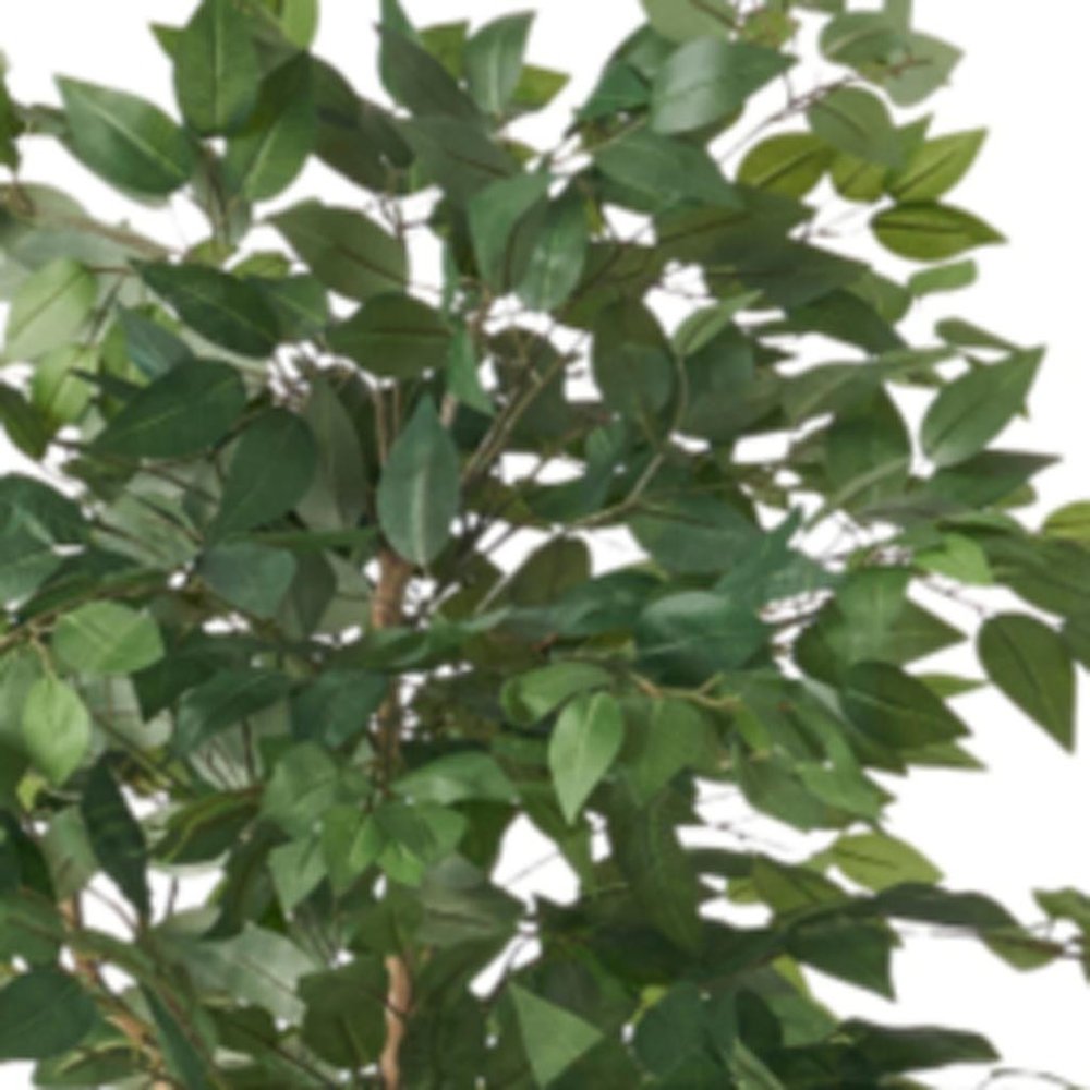 71" Green Artificial Ficus Tree In Cylindrical Black Pot