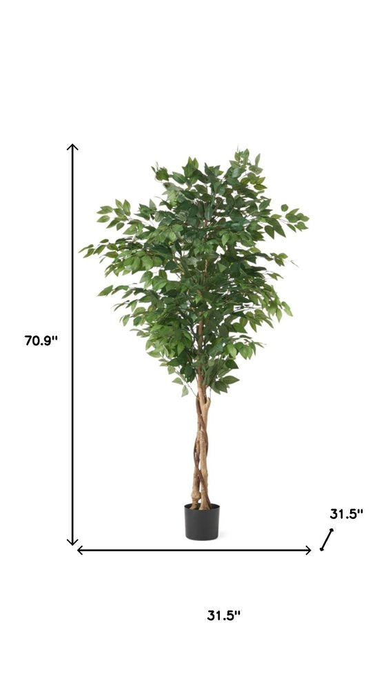 71" Green Artificial Ficus Tree In Cylindrical Black Pot