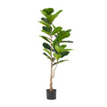 59" Green Artificial Fiddle Leaf Tree In Cylindrical Black Pot. Artificial plants and tree isolated on a plain white background, showing a green plastic surface.