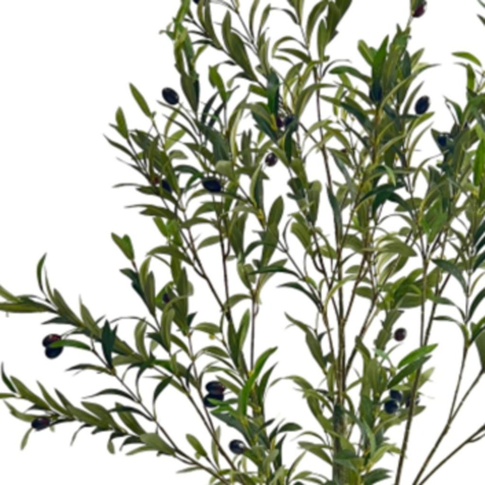 59" Green Artificial Olive Tree In Cylindrical Black Pot. Artificial plants and tree isolated on a plain white background, finished in green plastic.