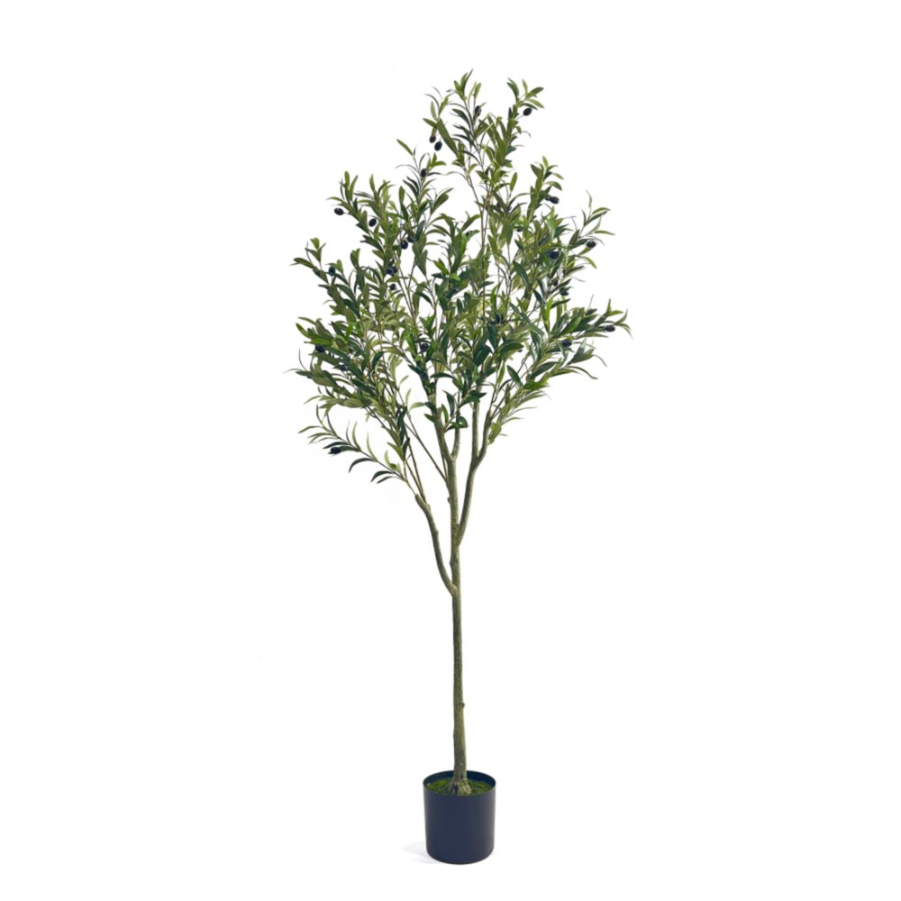 71" Green Artificial Olive Tree In Cylindrical Black Pot
