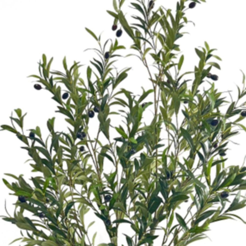71" Green Artificial Olive Tree In Cylindrical Black Pot on a white background