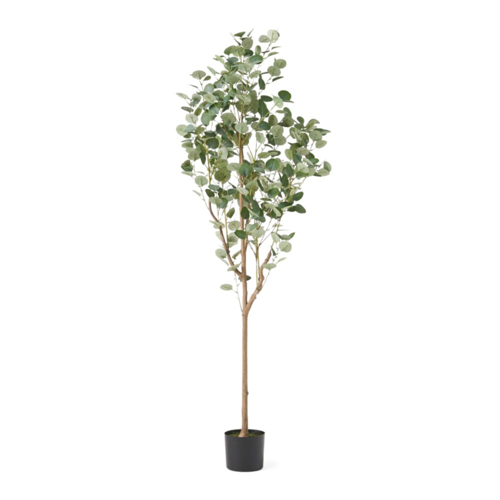 Green artificial eucalyptus tree with round leaves in a cylindrical black pot on a white background.