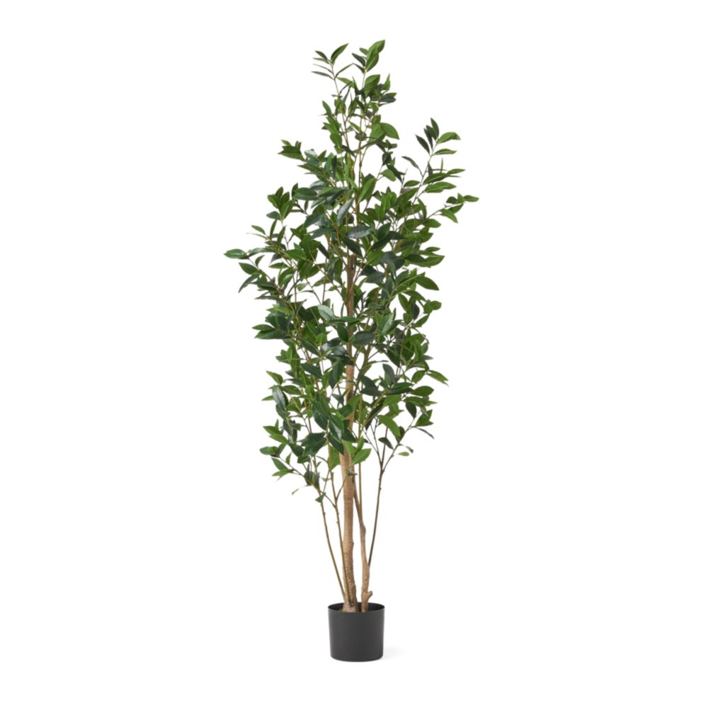 71" Green Artificial In Cylindrical Black Pot