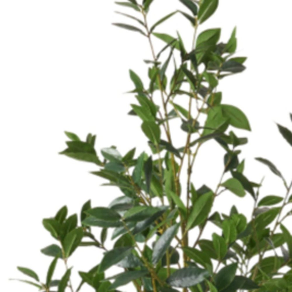 71" Green Artificial In Cylindrical Black Pot