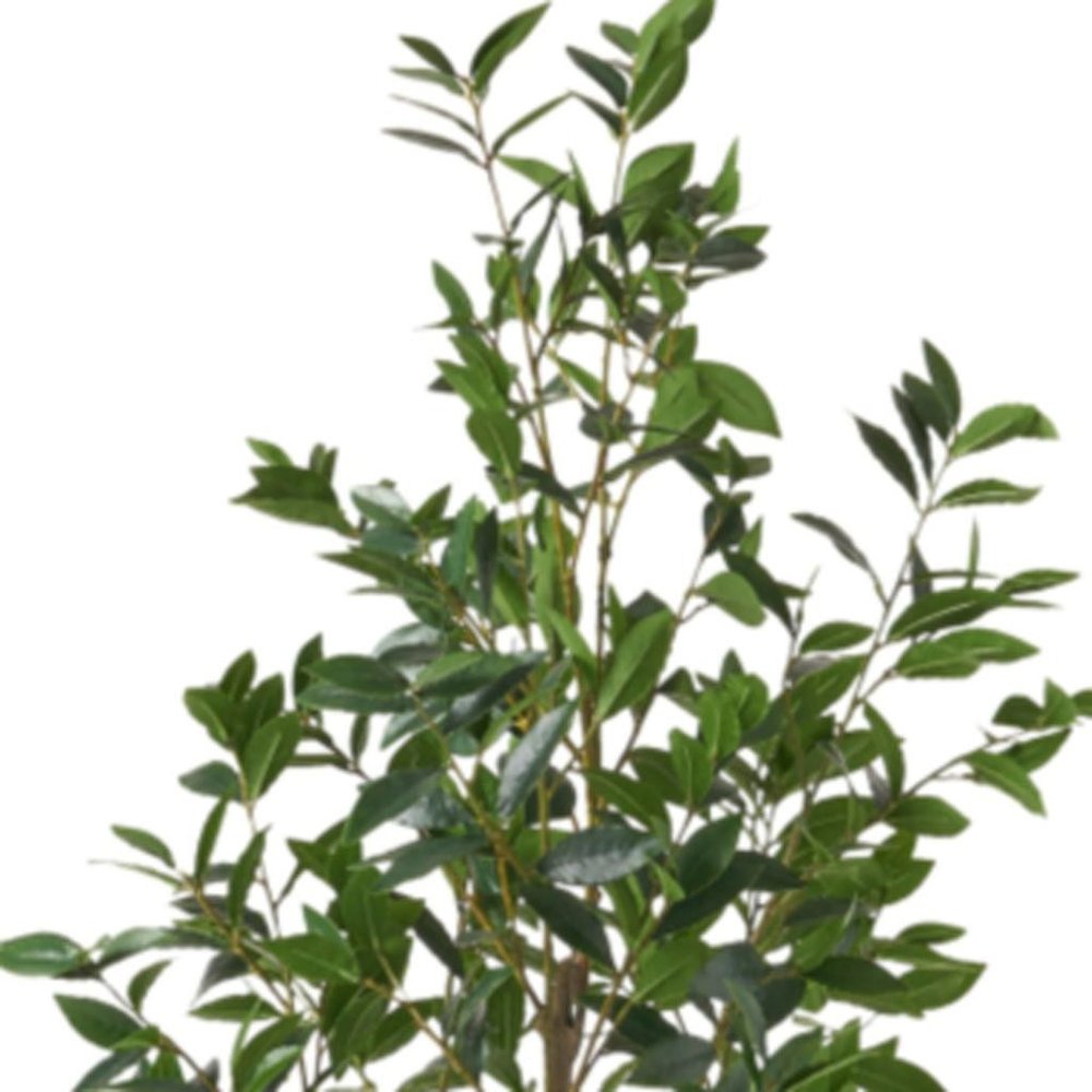 71" Green Artificial In Cylindrical Black Pot