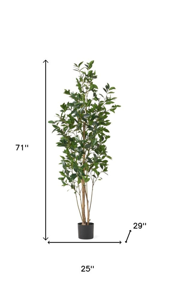 71" Green Artificial In Cylindrical Black Pot