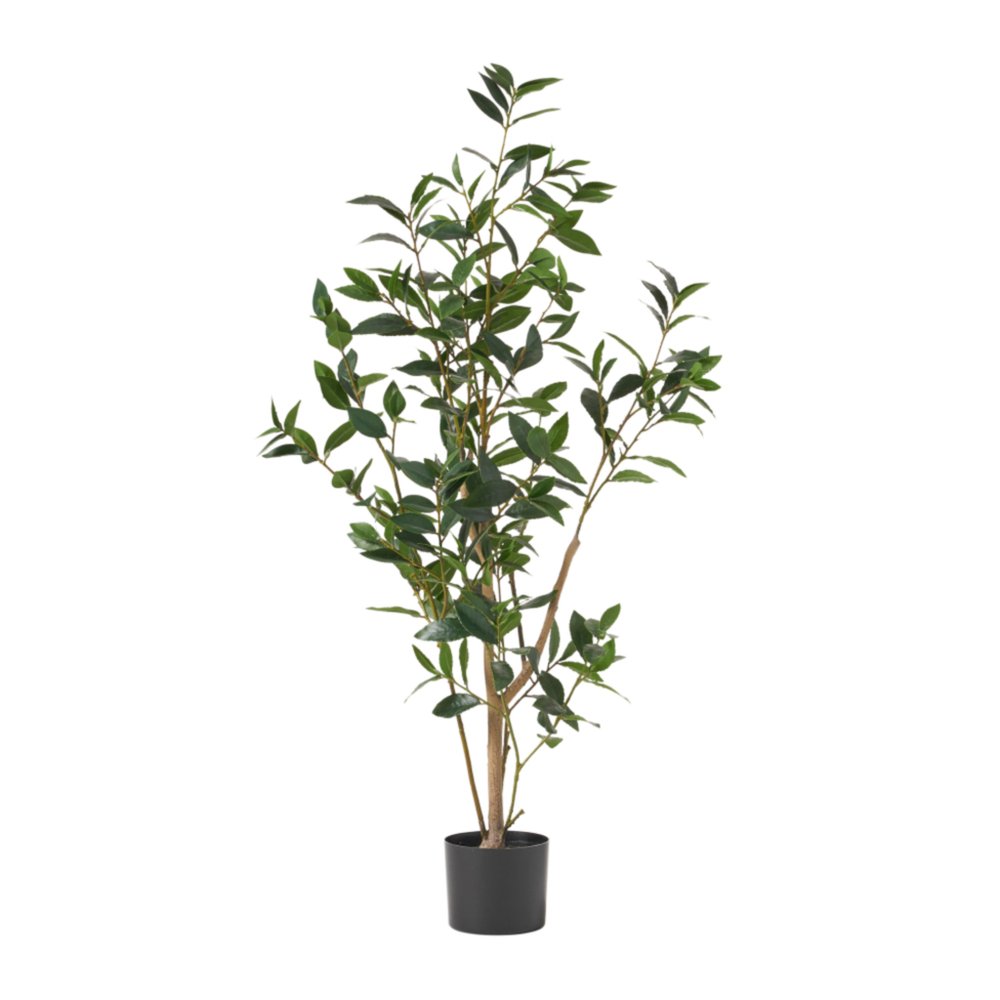 Green artificial plant with dark green leaves in a cylindrical black pot on a white background.