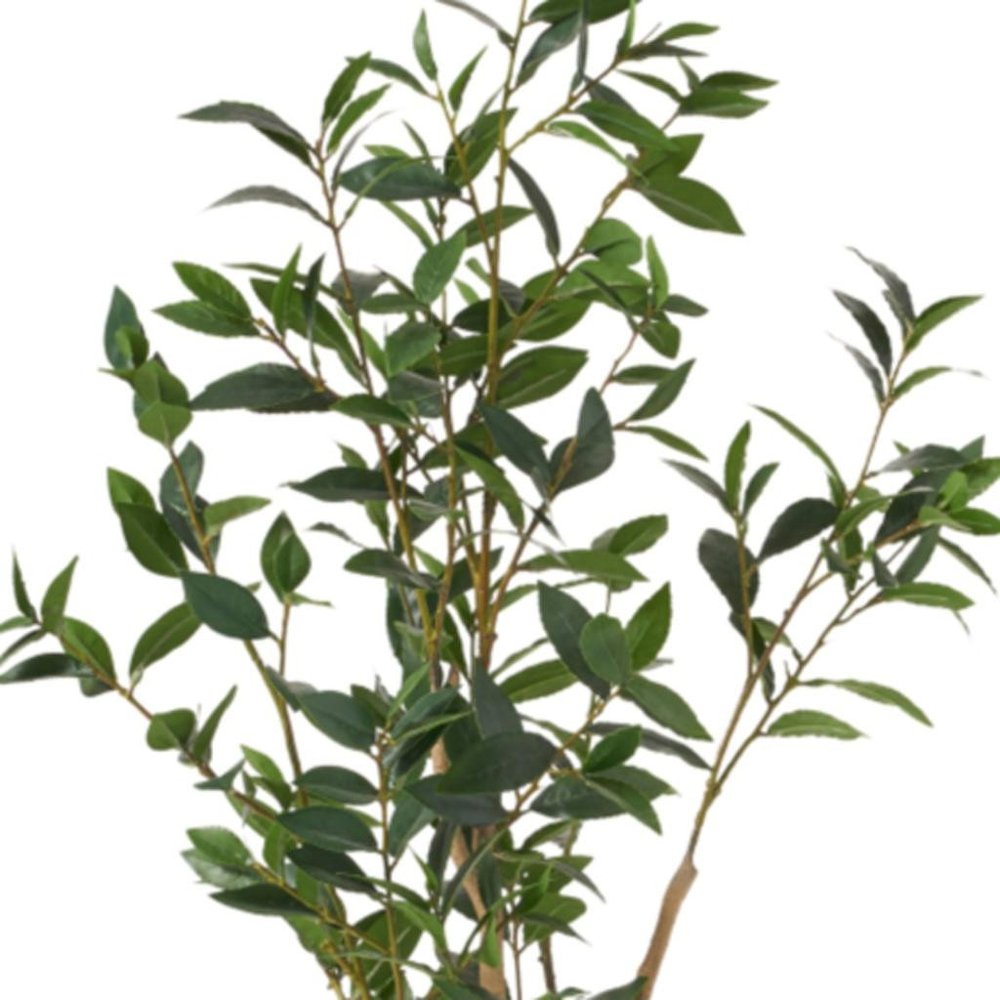 47" Green Artificial In Cylindrical Black Pot - 47.00" H x 19.00" W x 19.00" D