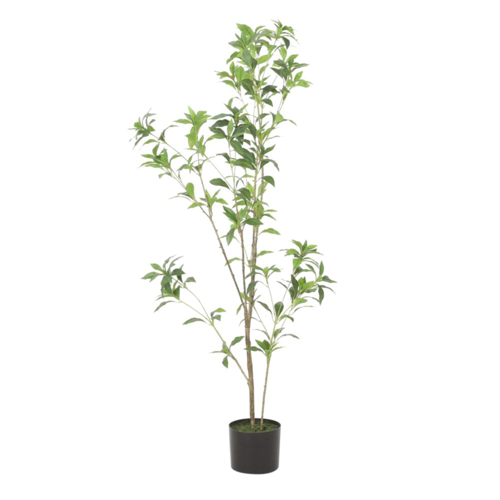 A tall, slender artificial green plant with thin branches and leaves in a cylindrical black pot against a white background.