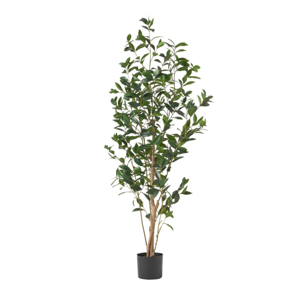 64" Green Artificial In Cylindrical Black Pot