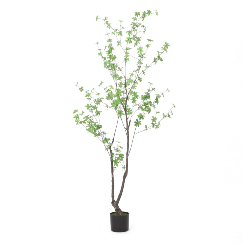 A tall, slender artificial tree with small green leaves in a cylindrical black pot against a white background.