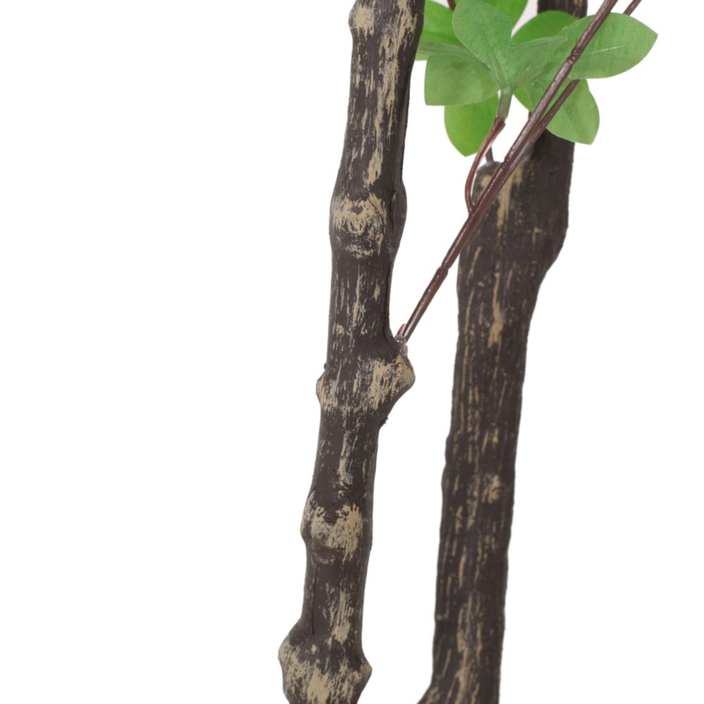 71" Green Artificial In Cylindrical Black Pot - 70.90" H x 35.40" W x 35.40" D