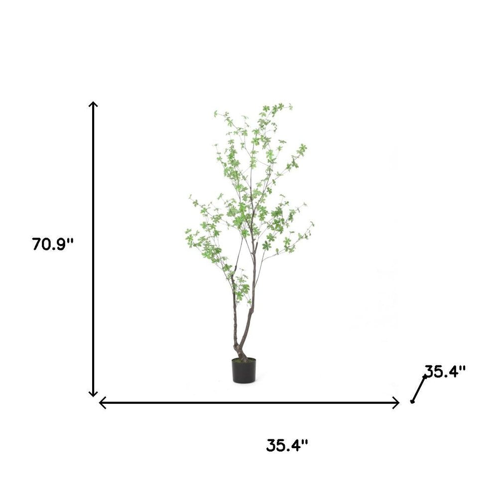 71" Green Artificial In Cylindrical Black Pot - 70.90" H x 35.40" W x 35.40" D