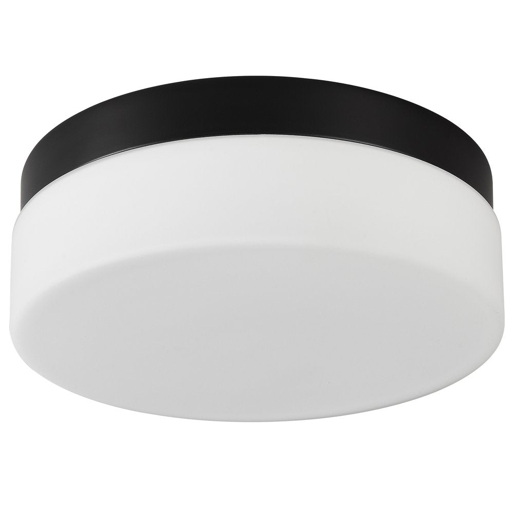 Commercial Ceiling Light
