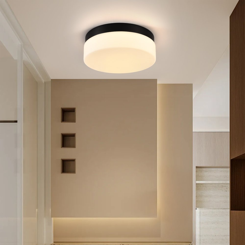 Commercial Ceiling Light