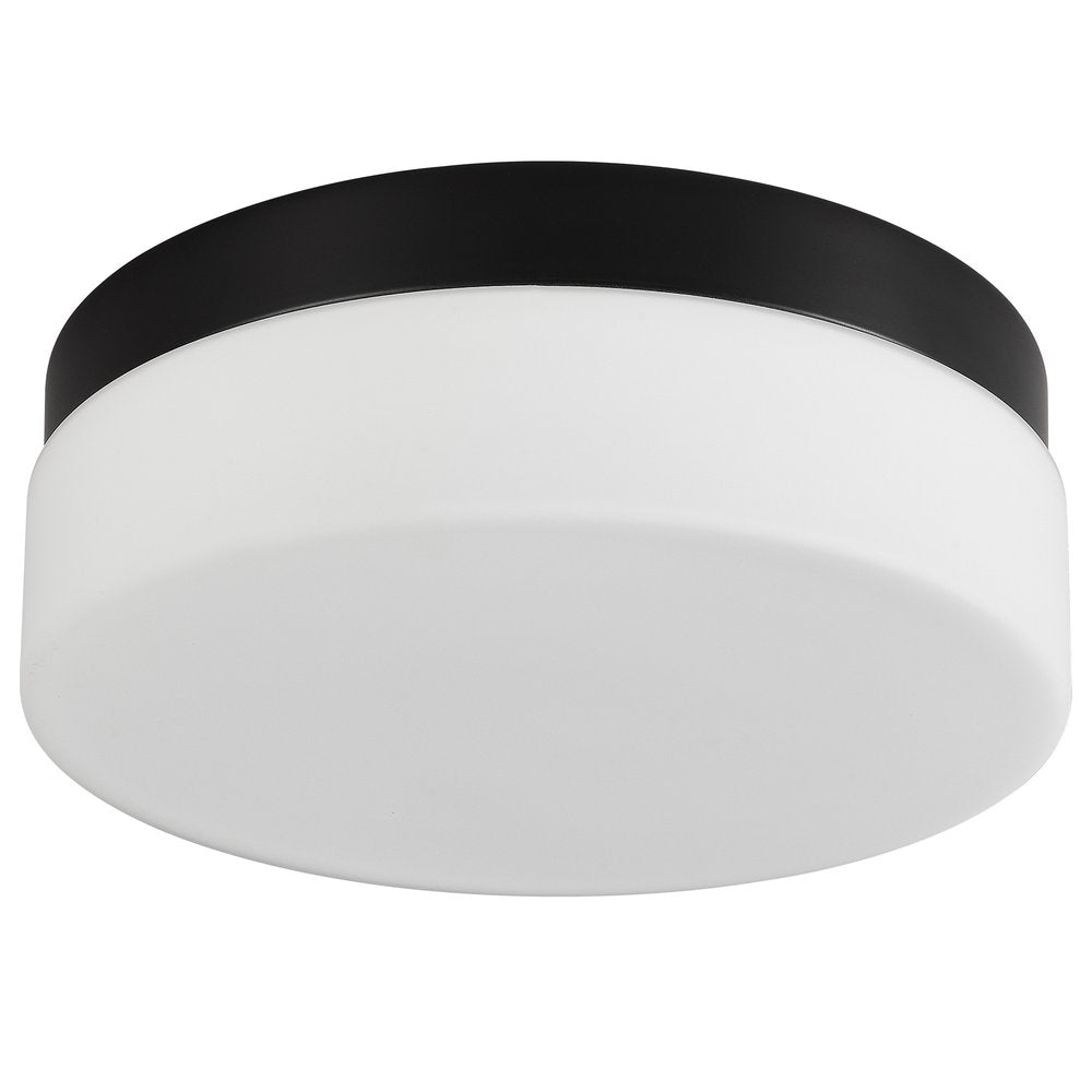 Commercial Ceiling Light