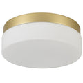Commercial Ceiling Light