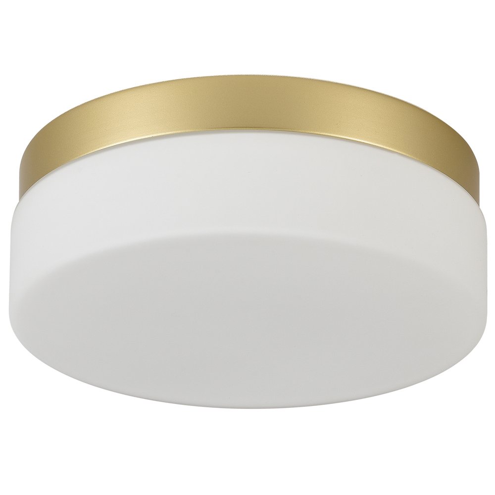 Commercial Ceiling Light