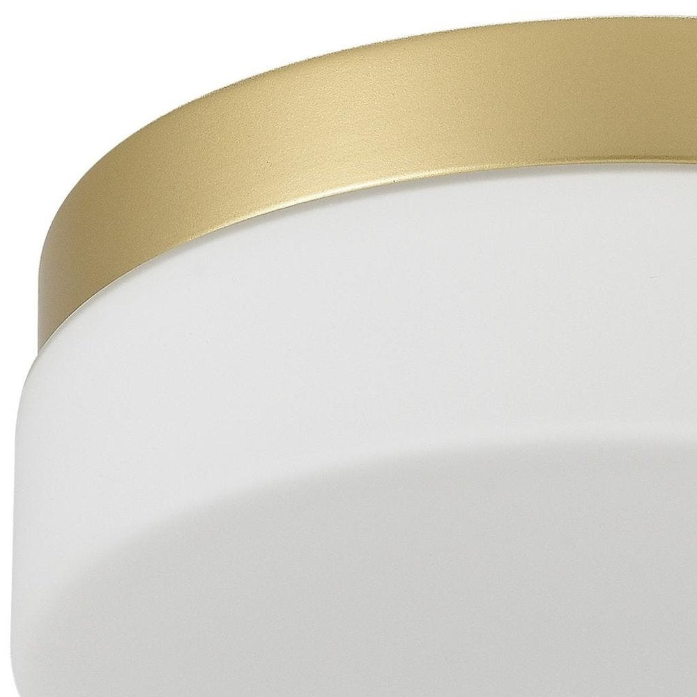 Commercial Ceiling Light