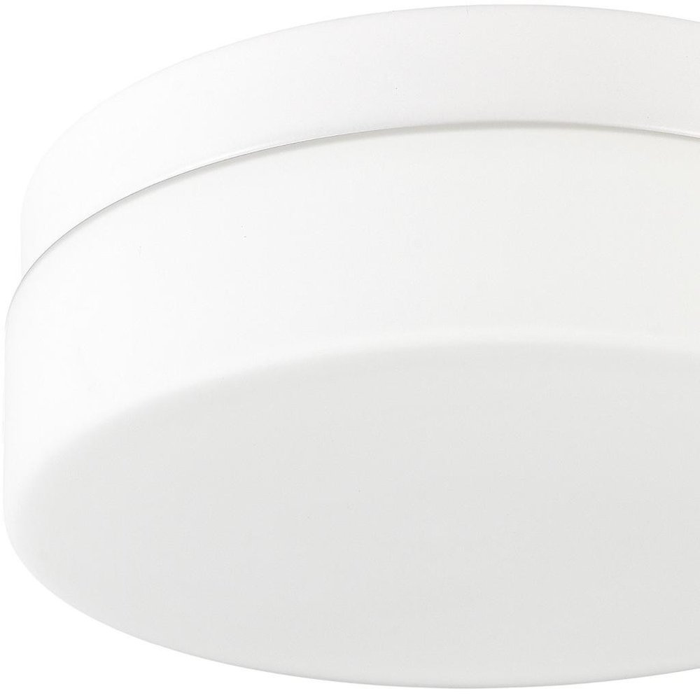 Commercial Ceiling Light