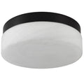Commercial Ceiling Light