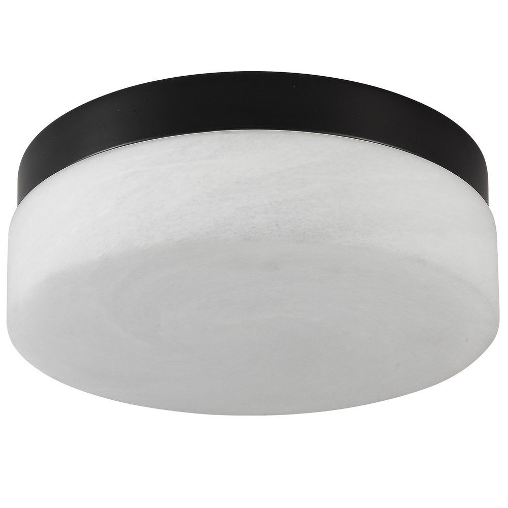Commercial Ceiling Light