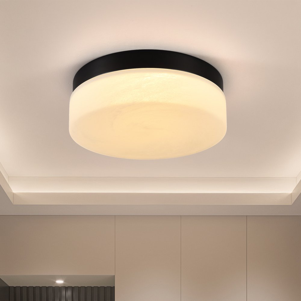 Commercial Ceiling Light