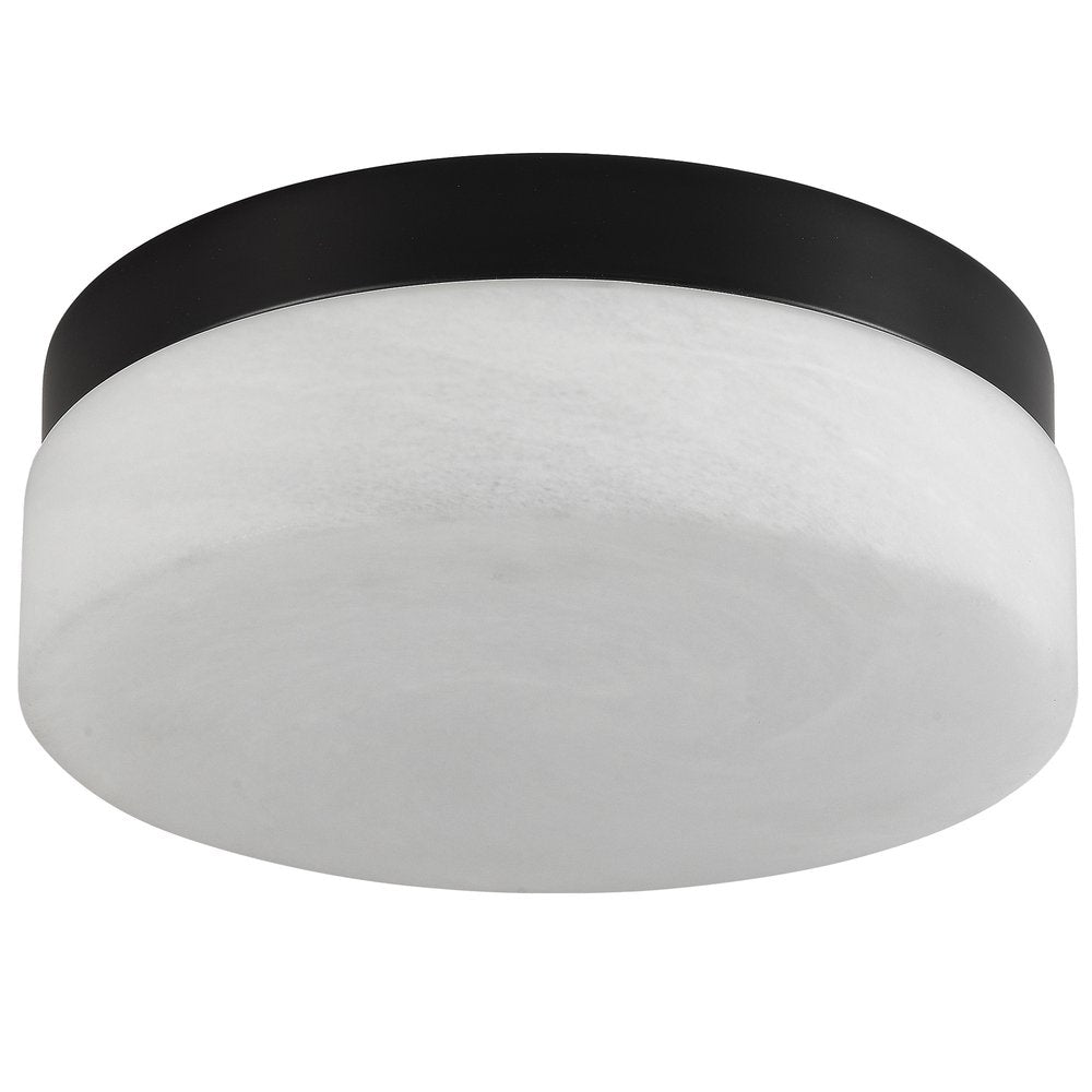 Commercial Ceiling Light