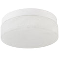 Commercial Ceiling Light