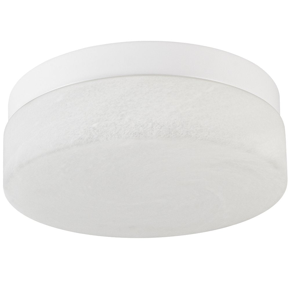 Commercial Ceiling Light