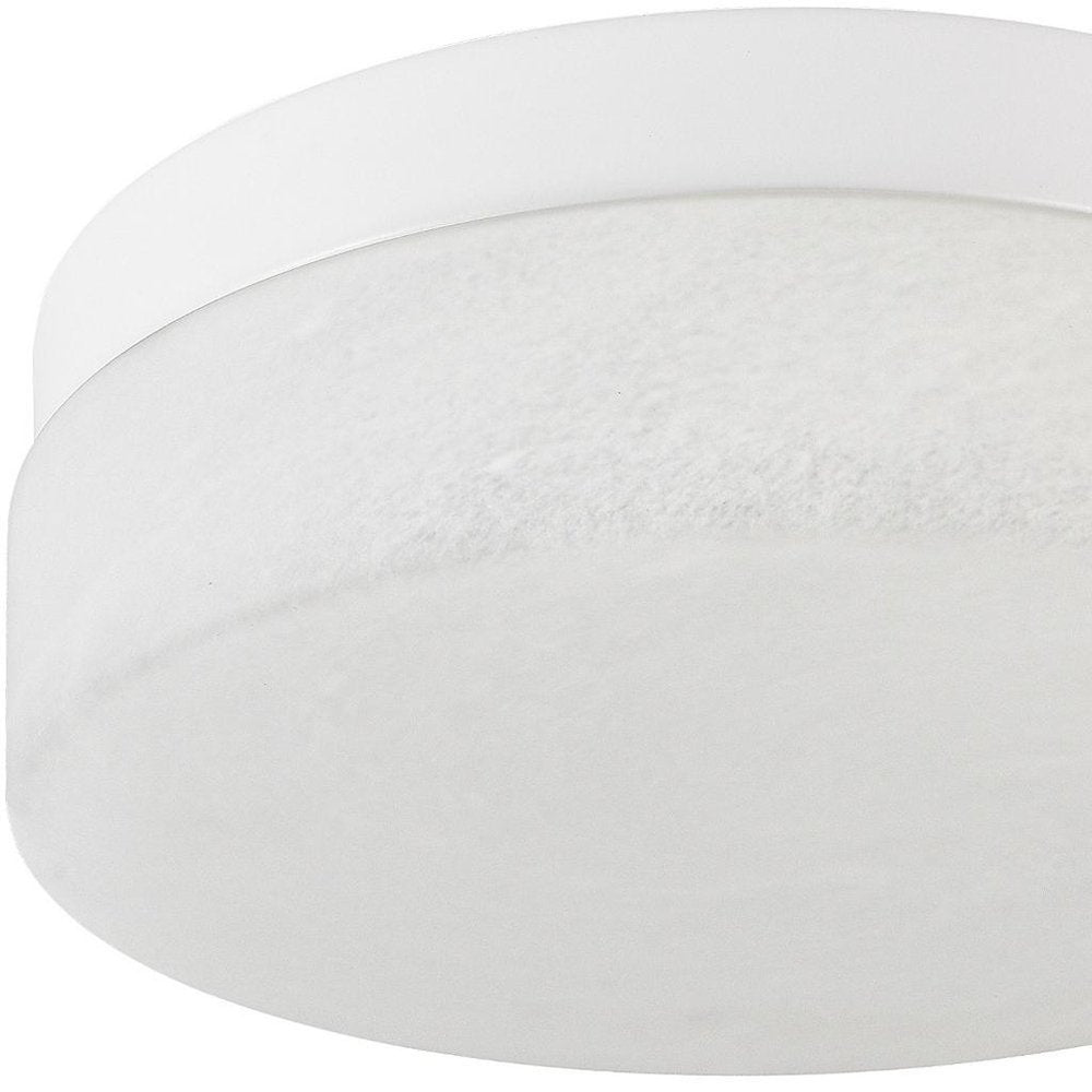 Commercial Ceiling Light