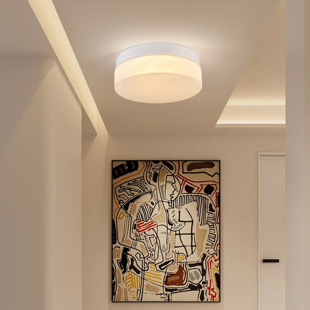 Commercial Ceiling Light