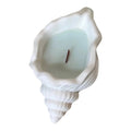 6" Light Blue Unscented Soy Wax Candle In White Resin Novelty Holder. Candle isolated on a plain white background, in a white resin finish.