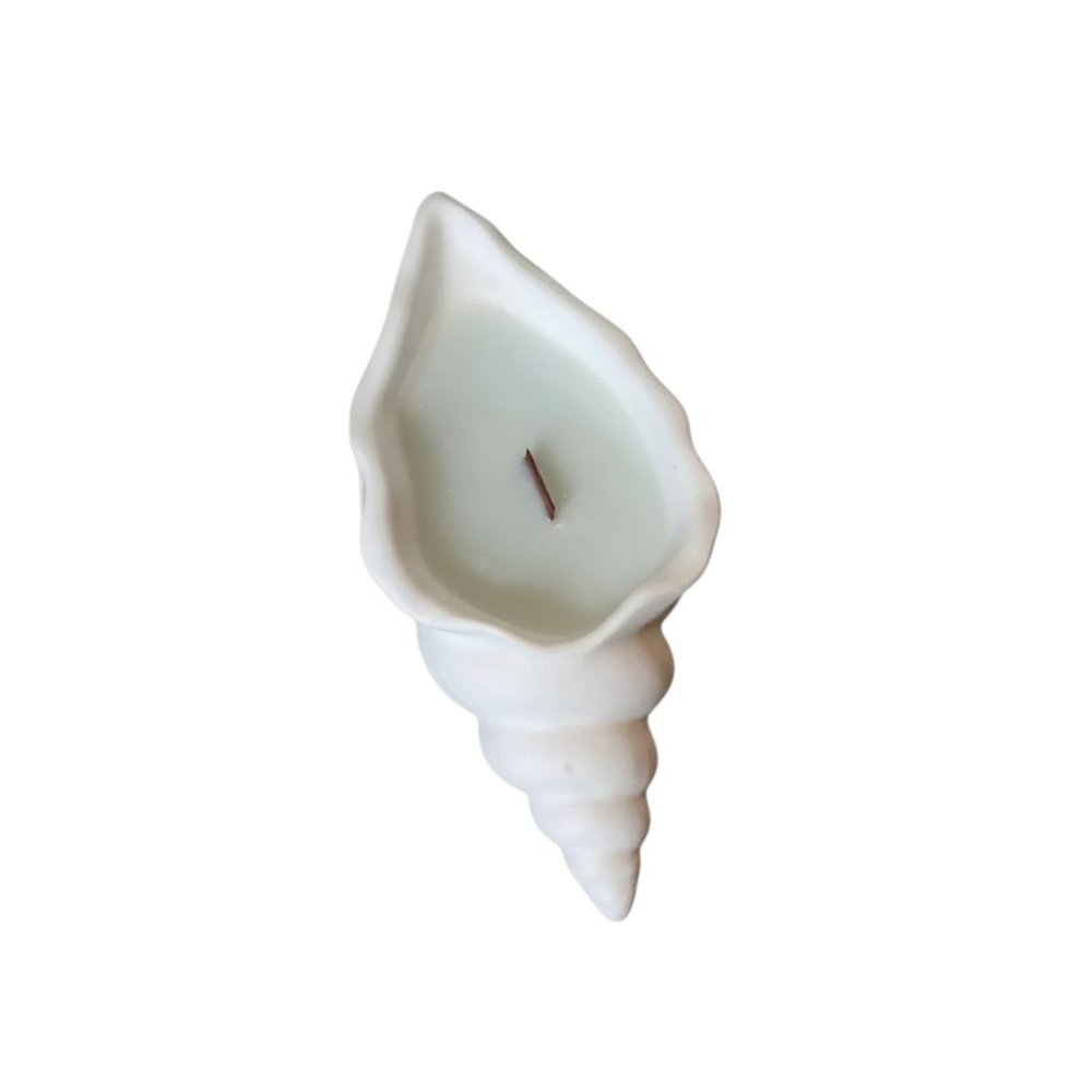 White resin seashell candle holder with light blue unscented soy wax and a wooden wick on a white background.