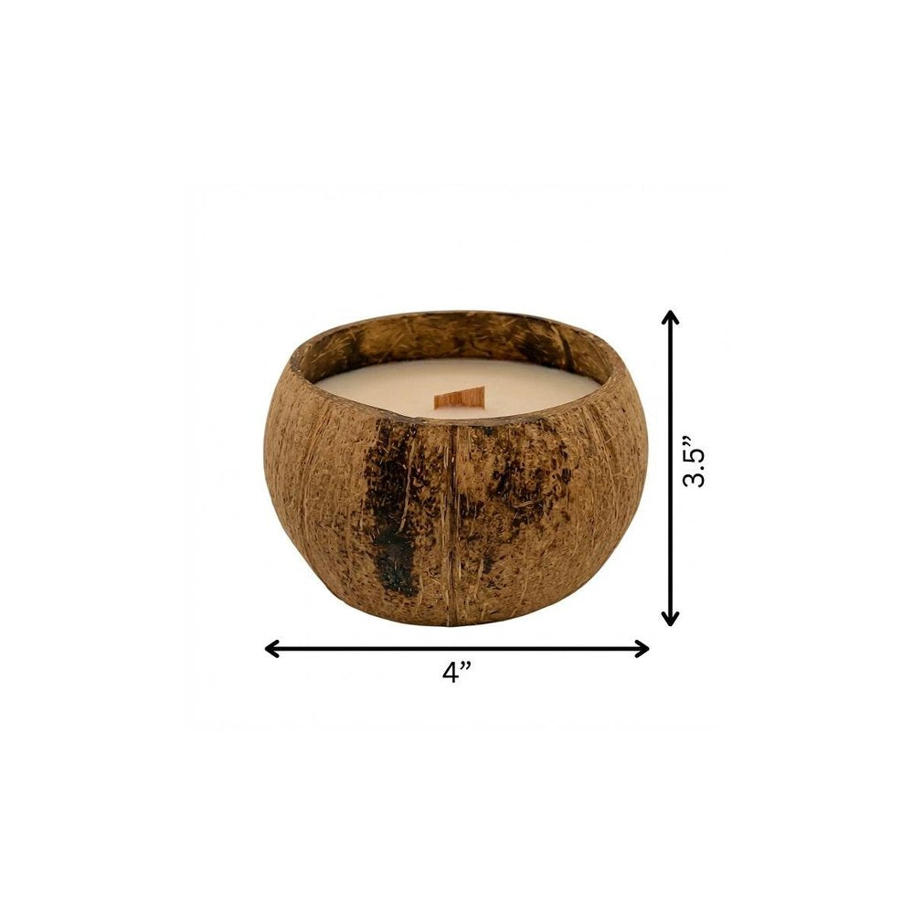 4" Ivory Orchid And Sea Salt Scented Candle In Brown Coconut Shell Holder